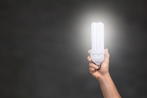 an energy-efficient light bulb